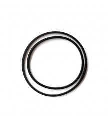 Sealing ring 1544410